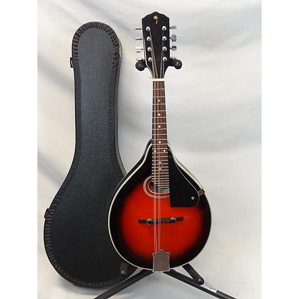 Used Palmer PM100 Mandolin