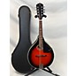 Used Palmer PM100 Mandolin thumbnail