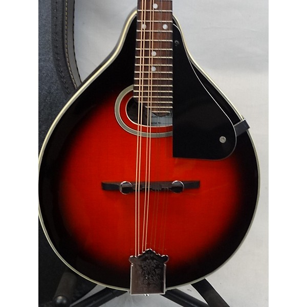 Used Palmer PM100 Mandolin