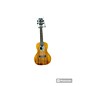 Used Cordoba 25CB Concert Ukulele thumbnail