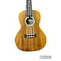 Used Cordoba 25CB Concert Ukulele