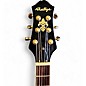 Used Prestige NYS Standard 3 Tone Sunburst Hollow Body Electric Guitar