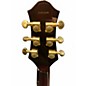 Used Prestige NYS Standard 3 Tone Sunburst Hollow Body Electric Guitar