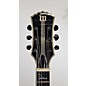 Used Wylde Audio Schecter WYLDE AUDIO Hollow Body Electric Guitar