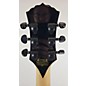 Used Wylde Audio Schecter WYLDE AUDIO Hollow Body Electric Guitar