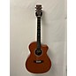 Used Martin Used Martin HPL X Series Birdseye Acoustic Guitar thumbnail