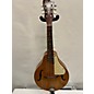 Used Silvertone Mandolin Mandolin thumbnail