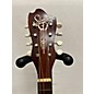 Used Silvertone Mandolin Mandolin