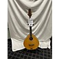 Used Gold Tone Om-800 Mandolin thumbnail