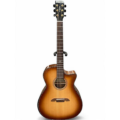 ALVAREZ PD 100 S acoustic guitars for sale in USA | guitar-list