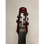 Used NS Design WAV5c Series 5-String Upright Electric Double Bass Upright Bass