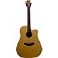 Used Morgan Monroe M-Dice Acoustic Electric Guitar thumbnail