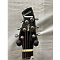 Used Wechter Guitars 2010s PM314OTE Acoustic Electric Guitar