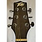 Used Peavey DW2 Acoustic Guitar