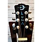 Used Luna Fauna Dragon Acoustic Electric Guitar