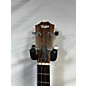 Used Taylor Gs Mini Bass Acoustic Bass Guitar thumbnail