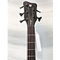 Used Warwick Infinity SN 5 String Electric Bass Guitar