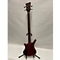 Used Warwick Thumb 4 String Bolt-On Electric Bass Guitar