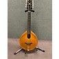 Used Used James Island MANDOLA Natural Mandolin