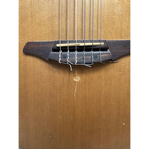 Used Breedlove Passport N250/COE Classical Acoustic Electric Guitar