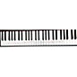 Used Casio CT-S1 Portable Keyboard