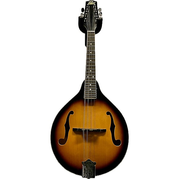 Used Rogue RM100A A Style Mandolin