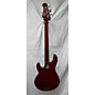 Used Ernie Ball Music Man Stingray Classic 4 String 30TH ANNIVERSARY Electric Bass Guitar