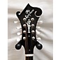 Used Epiphone F-5G Mandolin