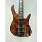 Used Used D'MARK OMEGA 5 PIOPPO Trans Brazillian Electric Bass Guitar