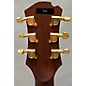 Used Luis Guerrero Used Luis Guerrero F Series Mahogany Acoustic Electric Guitar