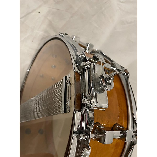 Used Premier 4.5X14 SIGNIA MAPLE SNARE Drum