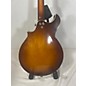 Vintage Harmony 1972 BATWING H835 Mandolin