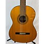 Used Washburn C40 Classical Acoustic Guitar