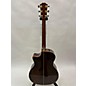 Used Taylor 914CE LIMITED COCOBOLO Acoustic Electric Guitar