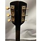 Vintage Gretsch Guitars 1950s New Yorker 6050 Acoustic Guitar