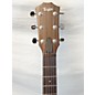 Used Taylor Used Taylor Ad27 Mahogany Acoustic Guitar