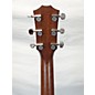 Used Taylor Used Taylor Ad27 Mahogany Acoustic Guitar