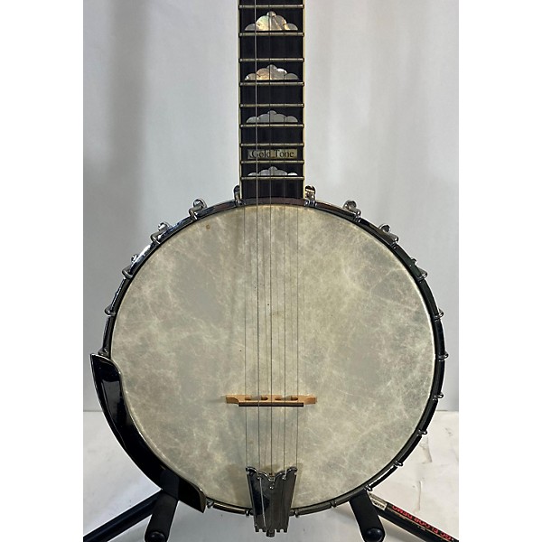 Used Gold Tone WL250 Banjo