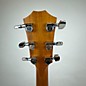 Used Taylor 414CE Acoustic Electric Guitar