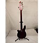 Used Ernie Ball Music Man Bongo 5 HH Electric Bass Guitar