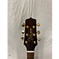 Used Takamine P5DC Acoustic Electric Guitar thumbnail