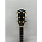 Used Taylor 614CE Acoustic Electric Guitar