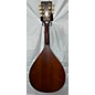 Vintage Martin 1920s AK Mandolin