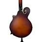 Used The Loar LM310FBRB Mandolin