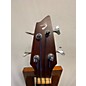 Used Breedlove Abj250 Acoustic Bass Guitar