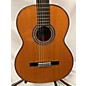 Used Cordoba C9 CD Classical Acoustic Guitar