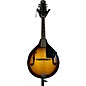 Used Rogue RM100A A Style Mandolin thumbnail