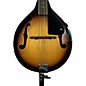 Used Rogue RM100A A Style Mandolin