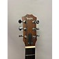 Used Taylor GS Mini Koa Acoustic Guitar