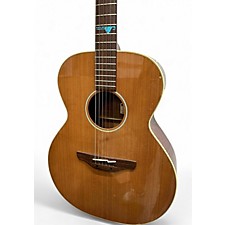 【BASSman】Washburn DC60E WASHBURN STEPHEN'S EXTENDED CUTAWAY ACOUSTICS acoustic guitars